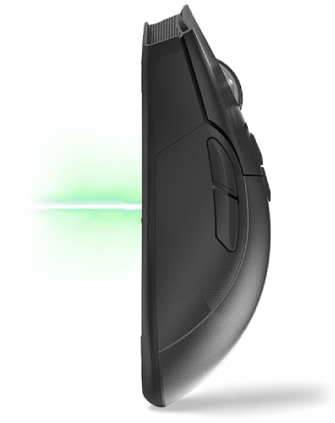 Mouse Side View